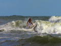 Sharkbite Summer: Dappere surfers