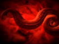Monsters Inside Me