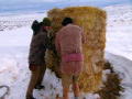 Dual Survival 2: Shelter and a Snack
