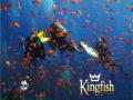 Kingfish konkurrence spot