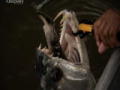 River Monsters: The Most Bizarre: Kvävande fara