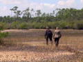 Meine Frau, die Wildnis und ich: Alptraum auf den Bahamas 2
