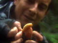 Born Survivor: Peanut Butter? Or Snot?