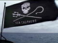 Whale Wars