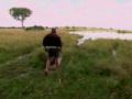 Das Survival-Duo: Im Okavango-Delta 4