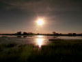 Das Survival-Duo: Im Okavango-Delta 3