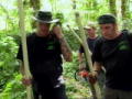 Swamp Brothers
