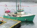 Die Schwertfisch-Flotte