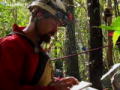 Savnet