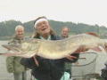 Fish 'n' Fun