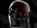 Body Invaders: Pencil Extracted from Brain
