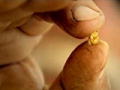 Gold Rush - New Season