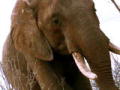 World's Toughest Expeditions Interview: Exploring The U ...