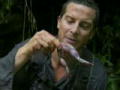 Ausgesetzt in der Wildnis: Making of 3 2