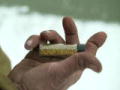 Goldtaucher der Beringsee: Bis zum bitteren Ende 5