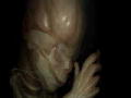 Curiosity: Miniature Humans
