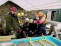 Goldrausch in Alaska: Neuer Sommer, neues Glück? 4