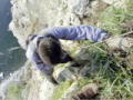 Making of Planeta Gelado