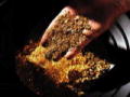 Bering Sea Gold - New Series