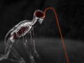 Body Invaders: Eye Hook