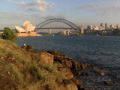 Summer of the Shark: Haaienaanval in de haven van Sydney