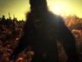 Finding Bigfoot