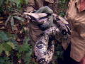 Man, Woman, Wild: SSSnake!