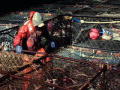 Deadliest Catch