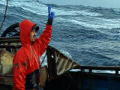 Deadliest Catch