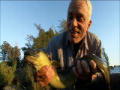 River Monsters