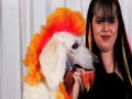 Extreme Poodles: Lori en Falcor