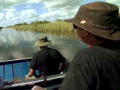Swamp Brothers