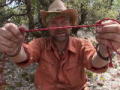 Survival Man