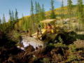 Goldrausch in Alaska: Der Lichtblick 4