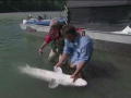 DMAX Beste: Angler 3