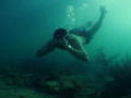 Born Survivor: Sea Snail Snack