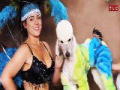 Extreme Poodles: De Kampioen