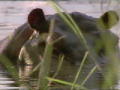 Das Survival-Duo: Im Okavango-Delta 2