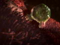 Monsters Inside Me: Lung Infection