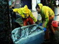 Deadliest Catch