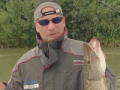 Fish 'n' Fun