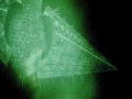 Curiosity: Counter Attack