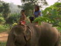 Das Mädchen und sein Elefant