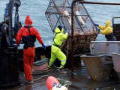 Livsfralig fangst 7: Dårlig dag at fiske