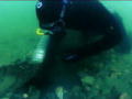Goldtaucher der Beringsee: Klar Schiff! 2