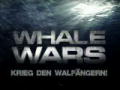 Whale Wars: Verstärkung für die Flotte 1