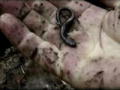 Survival Man: Am Lake Temagami 3