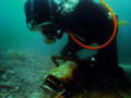 La febbre dell'oro - mare di Bering