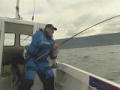 Fish 'n' Fun