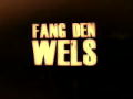 Fang den Wels!